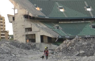 Los Bomberos de Sevilla entrenan en el Villamarín con su Unidad Canina